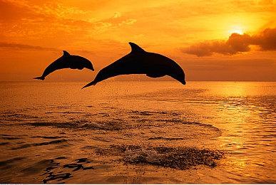 《城市：天际线2》“海滩资产包”即将发售 官方Mod工具同步上线